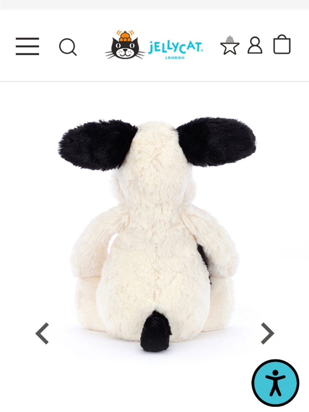 Bashful Black & Cream
Puppy - Picture 3 of 6